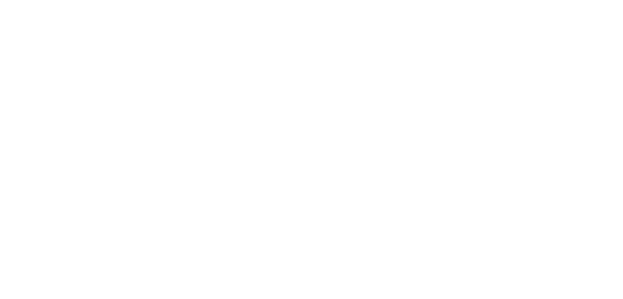 ZAC consulting